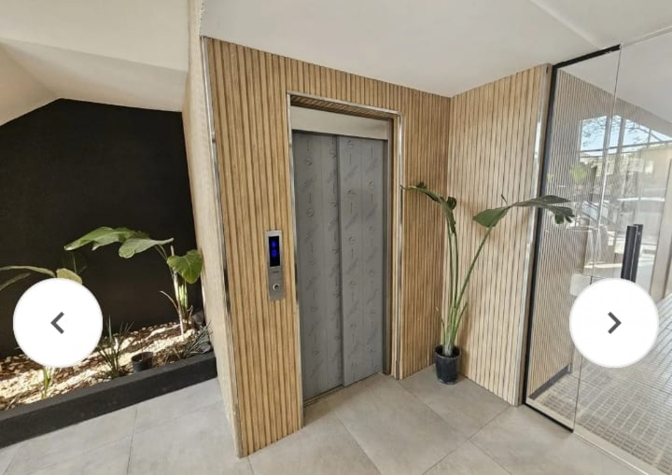 DARWIN 100, VENTA 1 AMB A ESTRENAR