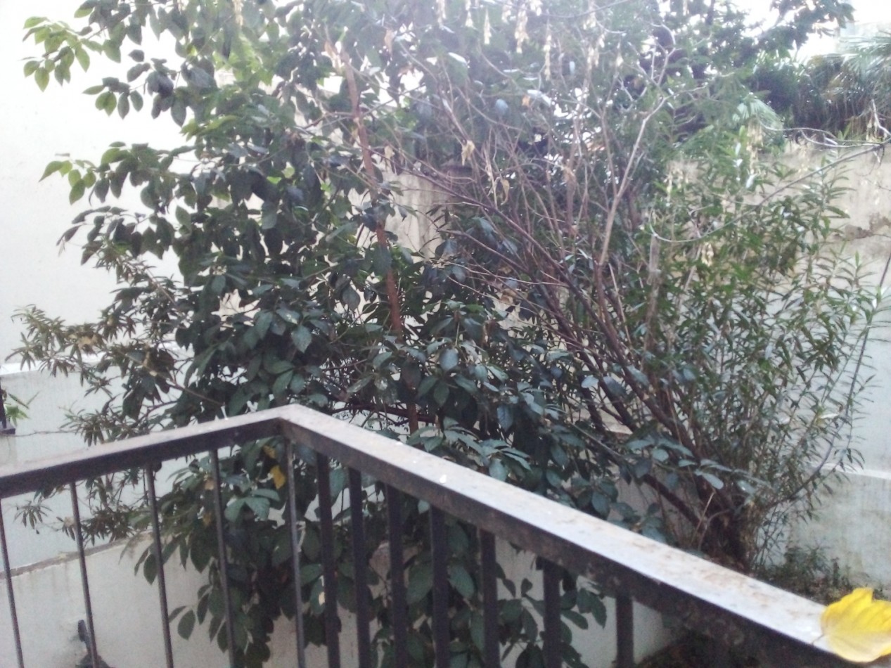 MALABIA 2100, VENTA 2 AMB CFTE BALCON