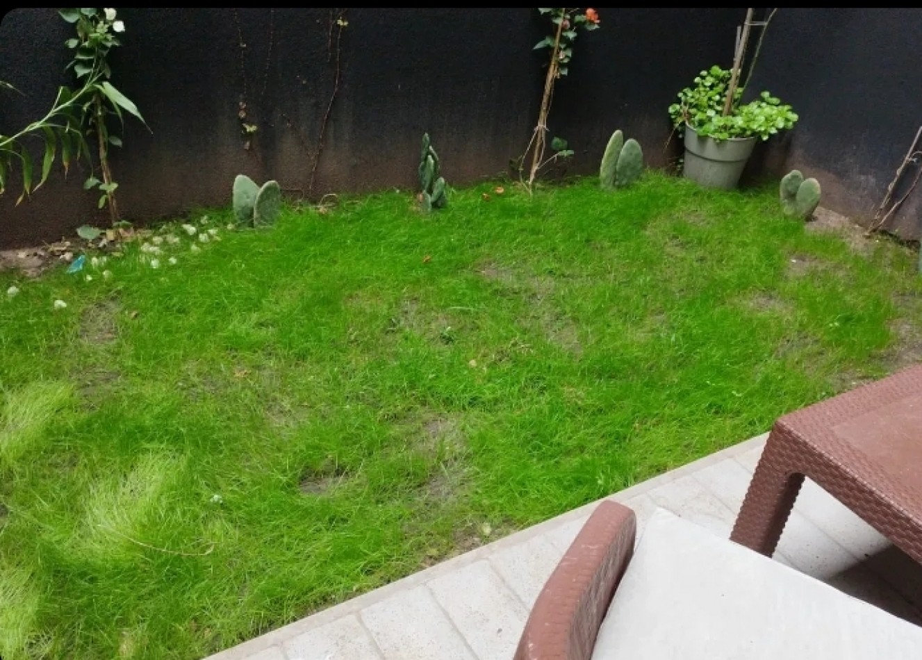 Triunvirato 3300, Venta 1 amb 44 m2 c/patio Propio !