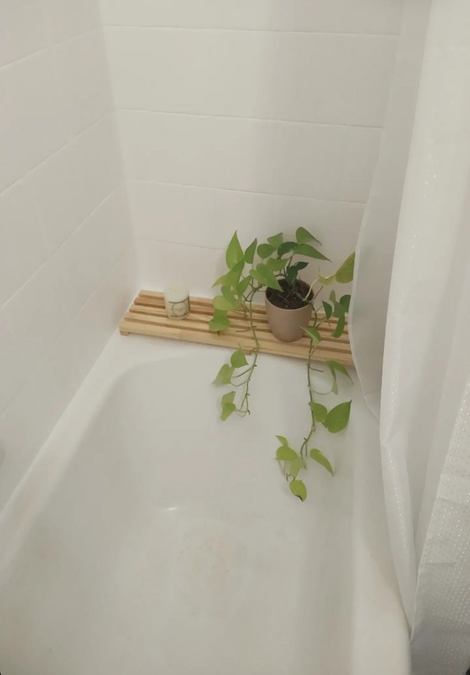 GUATEMALA 4400, Venta 1 AMB Apto Prof-Vivienda