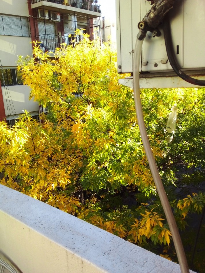 BOULOGNE SUR MER 800, VENTA DEPARTAMENTO DE UN AMBIENTE